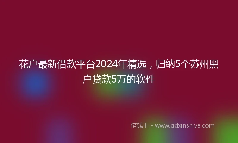 花户最新借款平台2024年精选，归纳5个苏州黑户贷款5万的软件
