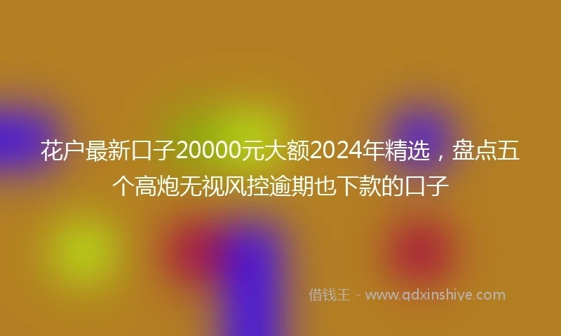 花户最新口子20000元大额2024年精选，盘点五个高炮无视风控逾期也下款的口子