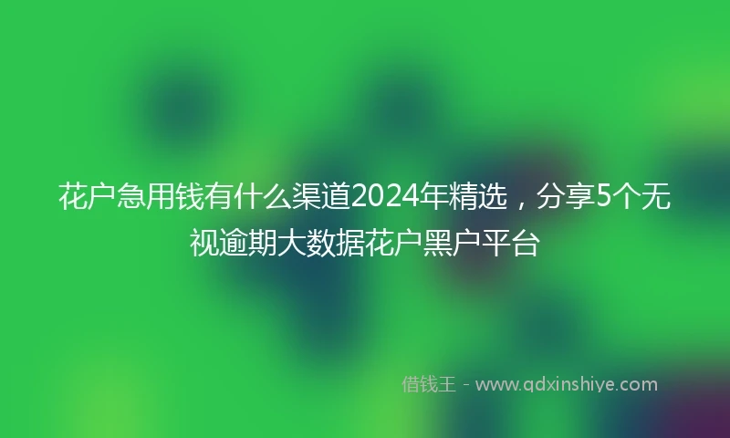 花户急用钱有什么渠道2024年精选,分享5个无视逾期大数据花户黑户平台