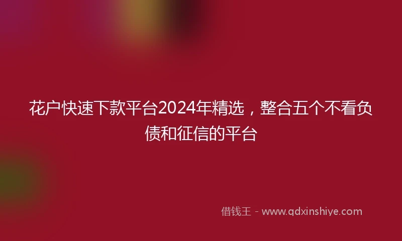花户快速下款平台2024年精选，整合五个不看负债和征信的平台