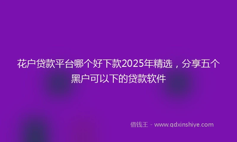 花户贷款平台哪个好下款2025年精选，分享五个黑户可以下的贷款软件