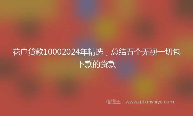 花户贷款10002024年精选，总结五个无视一切包下款的贷款