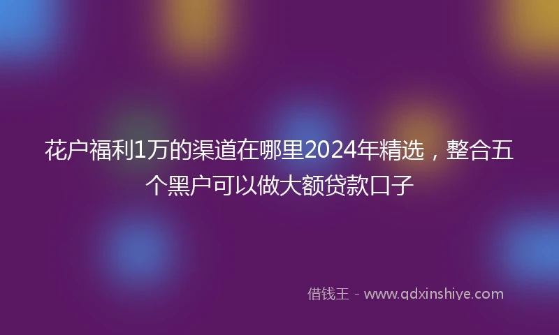 花户福利1万的渠道在哪里2024年精选，整合五个黑户可以做大额贷款口子