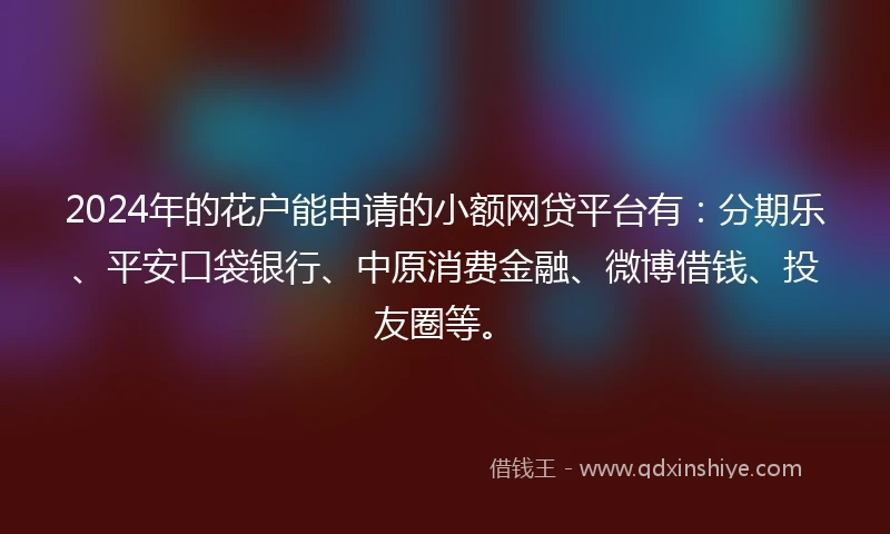 2024年的花户能申请的小额网贷平台有：分期乐、平安口袋银行、中原消费金融、微博借钱、投友圈等。