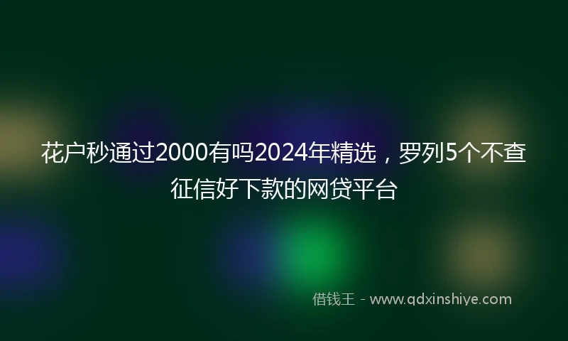 花户秒通过2000有吗2024年精选，罗列5个不查征信好下款的网贷平台