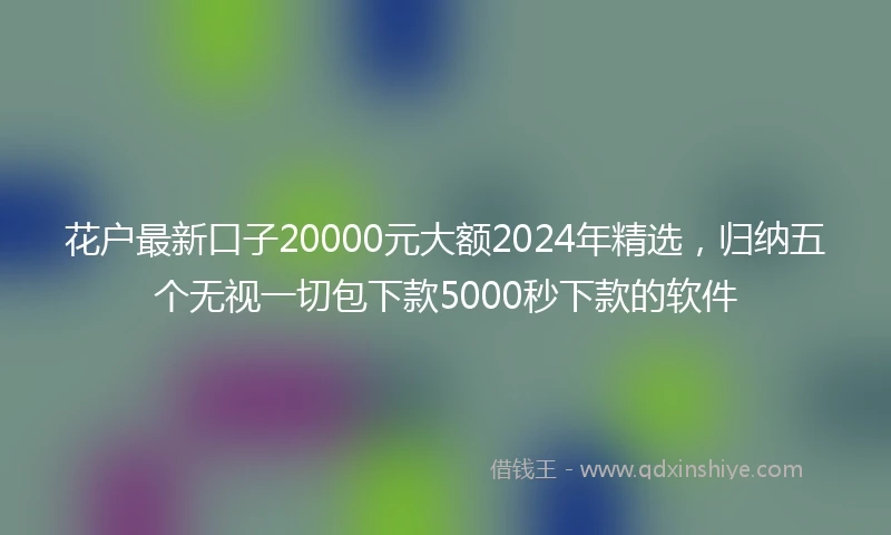 花户最新口子20000元大额2024年精选，归纳五个无视一切包下款5000秒下款的软件