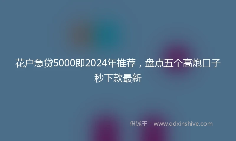 花户急贷5000即2024年推荐，盘点五个高炮口子秒下款最新