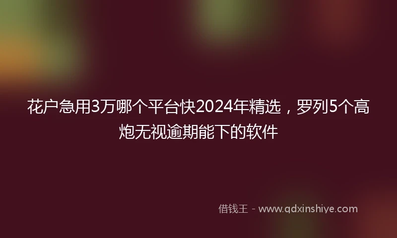 花户急用3万哪个平台快2024年精选，罗列5个高炮无视逾期能下的软件