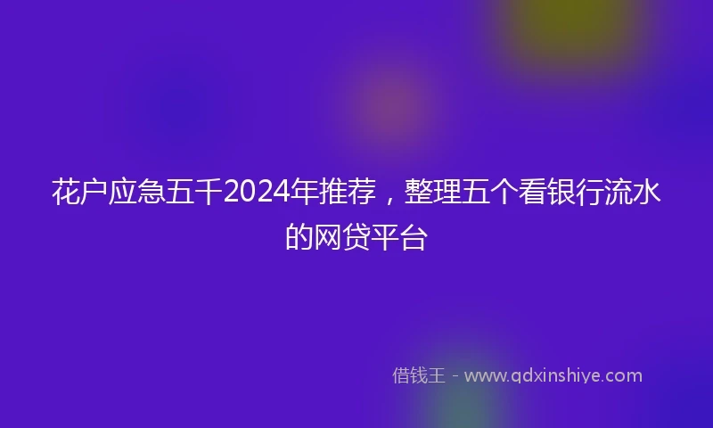 花户应急五千2024年推荐，整理五个看银行流水的网贷平台