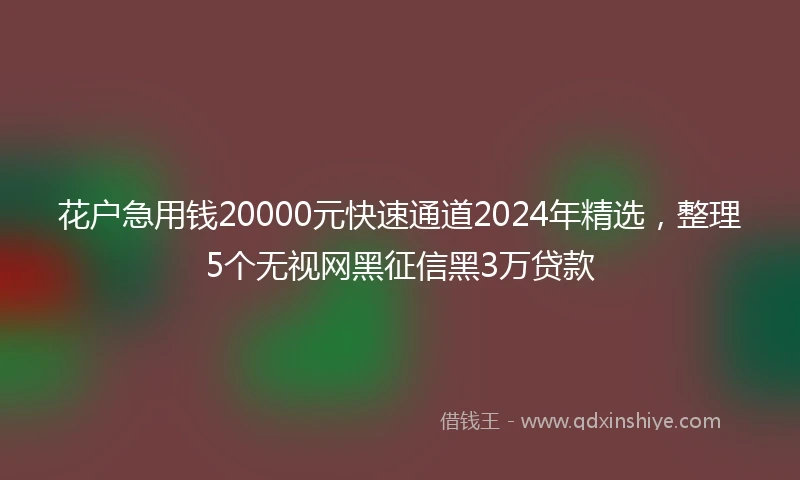 花户急用钱20000元快速通道2024年精选，整理5个无视网黑征信黑3万贷款