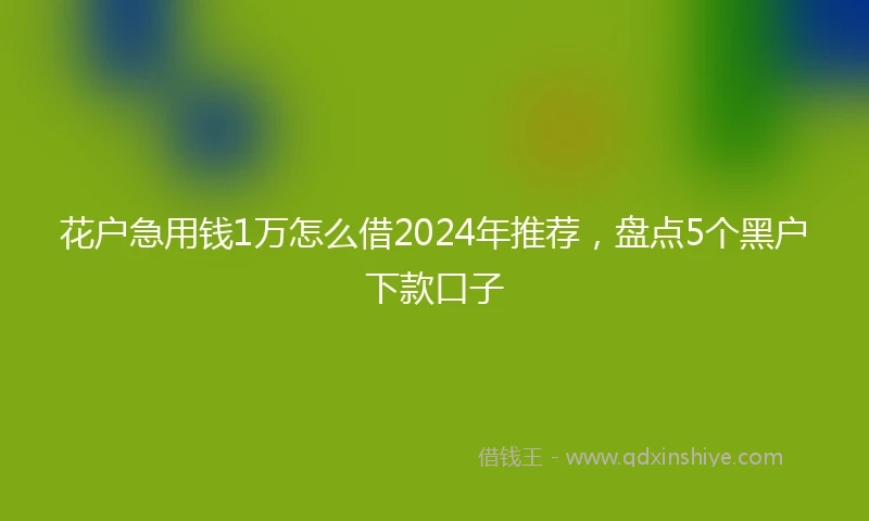 花户急用钱1万怎么借2024年推荐,盘点5个黑户下款口子