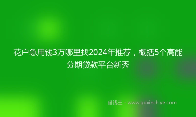 花户急用钱3万哪里找2024年推荐，概括5个高能分期贷款平台新秀