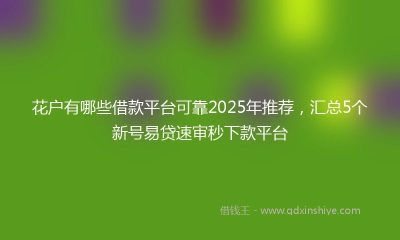 花户有哪些借款平台可靠2025年推荐，汇总5个新号易贷速审秒下款平台