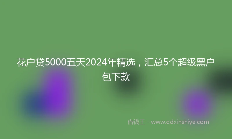 花户贷5000五天2024年精选，汇总5个超级黑户包下款