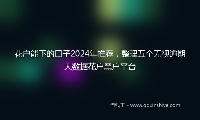 花户能下的口子2024年推荐，整理五个无视逾期大数据花户黑户平台
