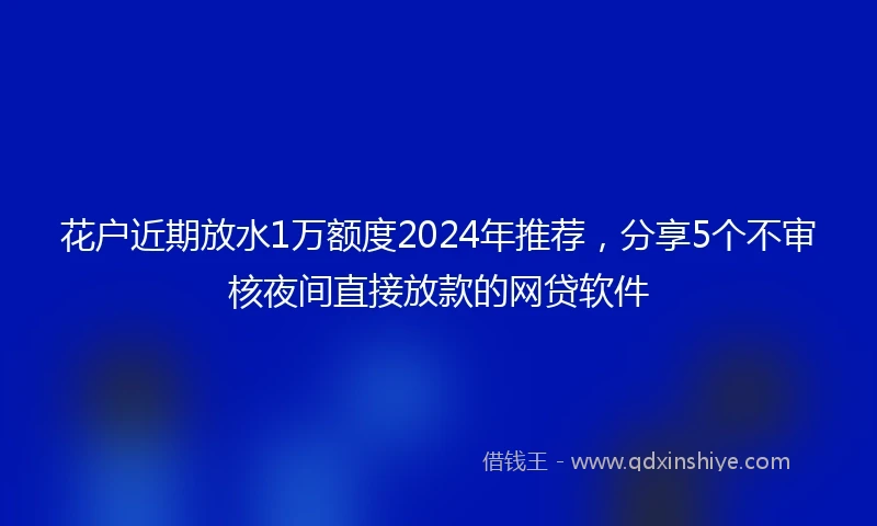 花户近期放水1万额度2024年推荐，分享5个不审核夜间直接放款的网贷软件