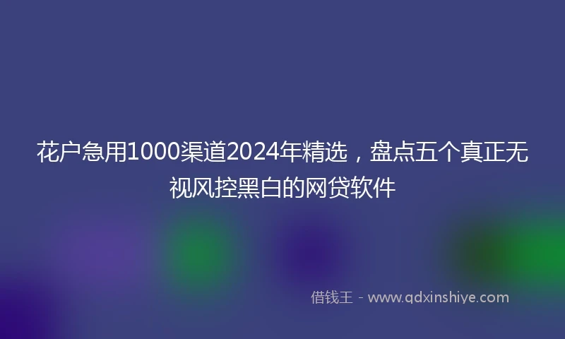 花户急用1000渠道2024年精选，盘点五个真正无视风控黑白的网贷软件