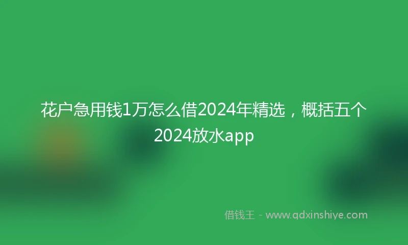 花户急用钱1万怎么借2024年精选，概括五个2024放水app