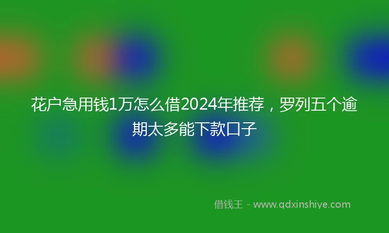 花户急用钱1万怎么借2024年推荐，罗列五个逾期太多能下款口子