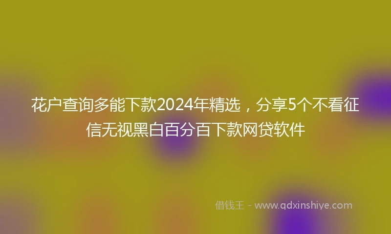 花户查询多能下款2024年精选，分享5个不看征信无视黑白百分百下款网贷软件