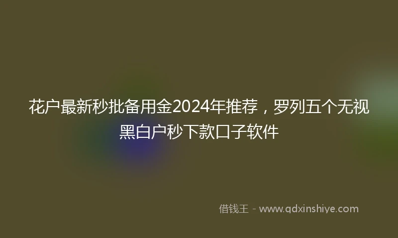 花户最新秒批备用金2024年推荐，罗列五个无视黑白户秒下款口子软件