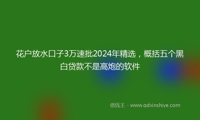 花户放水口子3万速批2024年精选，概括五个黑白贷款不是高炮的软件