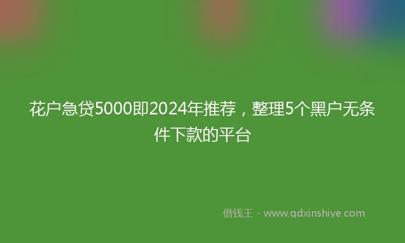 花户急贷5000即2024年推荐，整理5个黑户无条件下款的平台