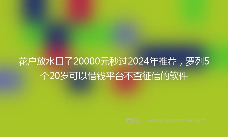 花户放水口子20000元秒过2024年推荐，罗列5个20岁可以借钱平台不查征信的软件