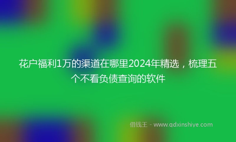 花户福利1万的渠道在哪里2024年精选，梳理五个不看负债查询的软件