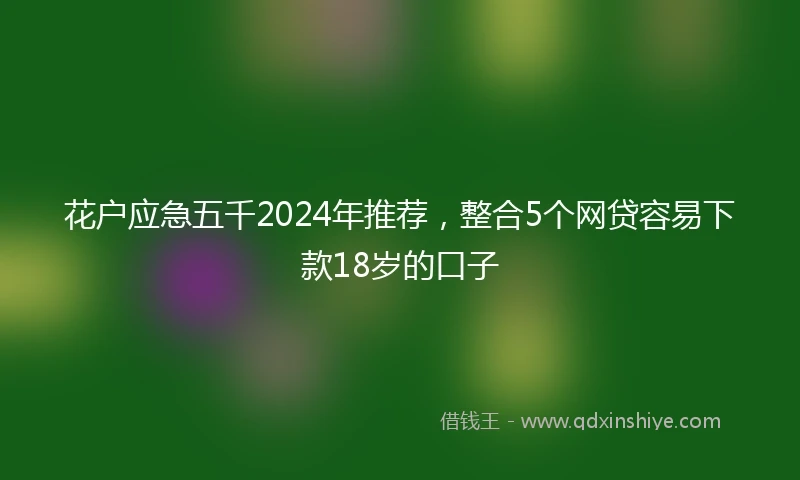 花户应急五千2024年推荐，整合5个网贷容易下款18岁的口子