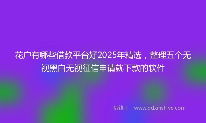 花户有哪些借款平台好2025年精选，整理五个无视黑白无视征信申请就下款的软件