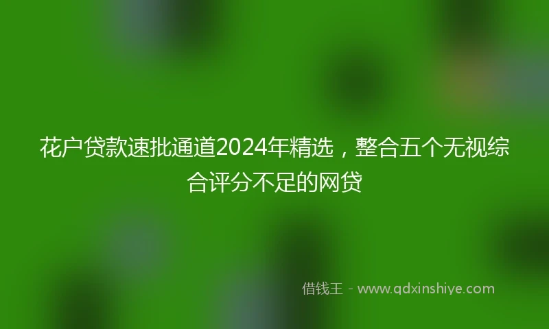 花户贷款速批通道2024年精选，整合五个无视综合评分不足的网贷