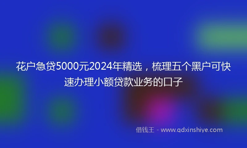 花户急贷5000元2024年精选，梳理五个黑户可快速办理小额贷款业务的口子