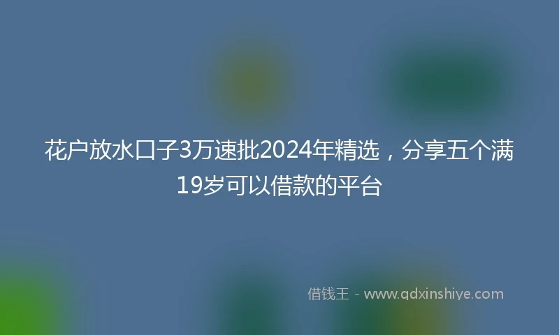 花户放水口子3万速批2024年精选，分享五个满19岁可以借款的平台