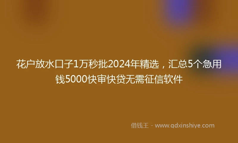 花户放水口子1万秒批2024年精选，汇总5个急用钱5000快审快贷无需征信软件