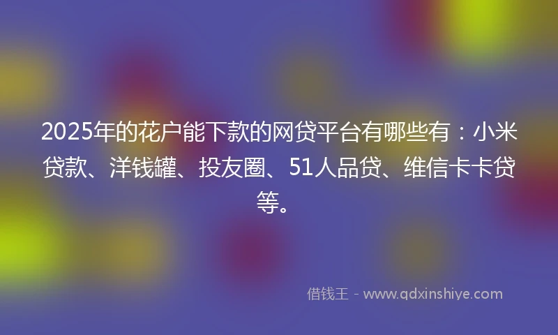 2025年的花户能下款的网贷平台有哪些有：小米贷款、洋钱罐、投友圈、51人品贷、维信卡卡贷等。
