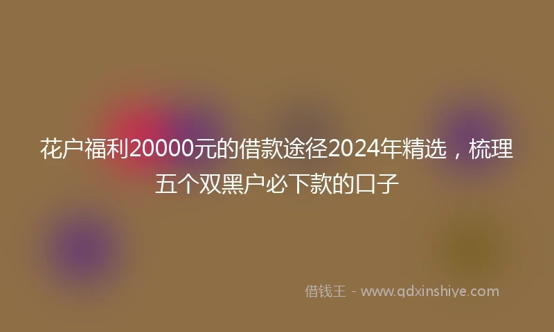 花户福利20000元的借款途径2024年精选，梳理五个双黑户必下款的口子