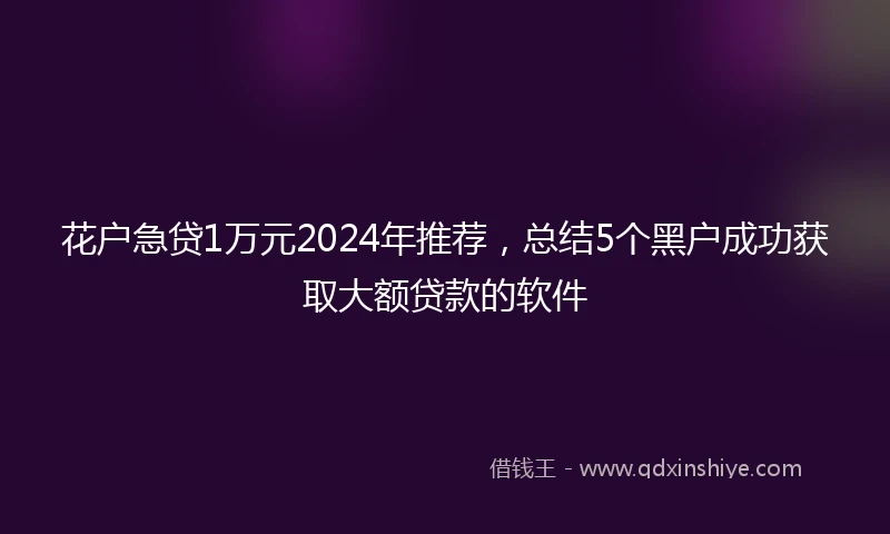 花户急贷1万元2024年推荐，总结5个黑户成功获取大额贷款的软件