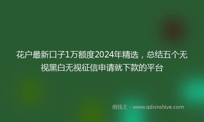 花户最新口子1万额度2024年精选，总结五个无视黑白无视征信申请就下款的平台