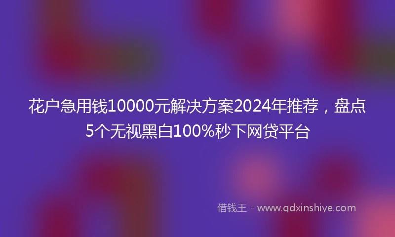 花户急用钱10000元解决方案2024年推荐，盘点5个无视黑白100%秒下网贷平台