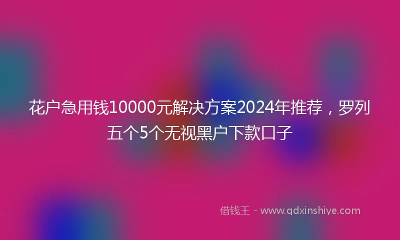 花户急用钱10000元解决方案2024年推荐，罗列五个5个无视黑户下款口子
