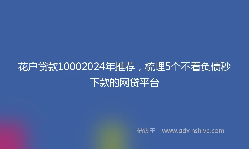 花户贷款10002024年推荐，梳理5个不看负债秒下款的网贷平台