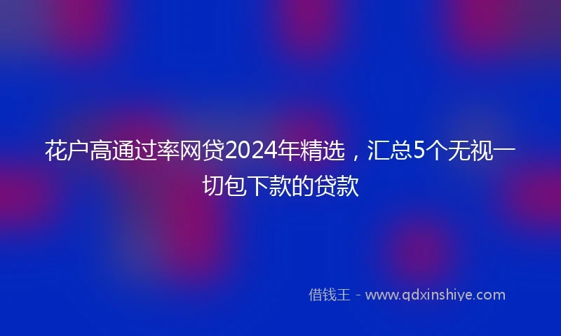 花户高通过率网贷2024年精选，汇总5个无视一切包下款的贷款