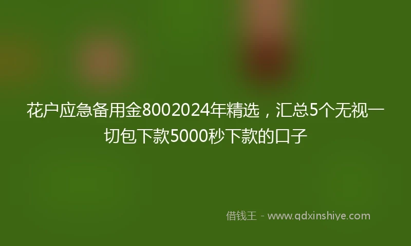 花户应急备用金8002024年精选，汇总5个无视一切包下款5000秒下款的口子