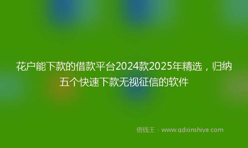 花户能下款的借款平台2024款2025年精选，归纳五个快速下款无视征信的软件