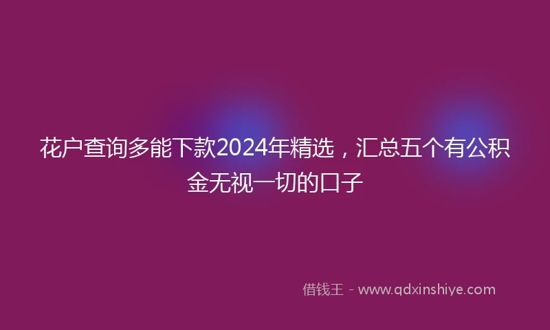 花户查询多能下款2024年精选，汇总五个有公积金无视一切的口子