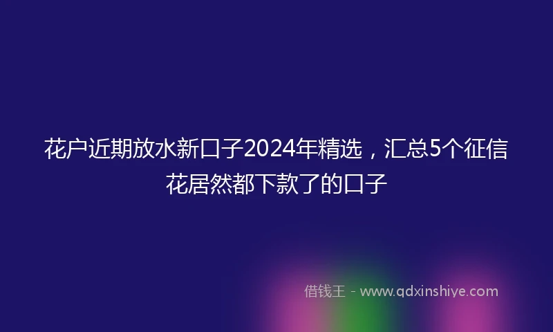 花户近期放水新口子2024年精选，汇总5个征信花居然都下款了的口子