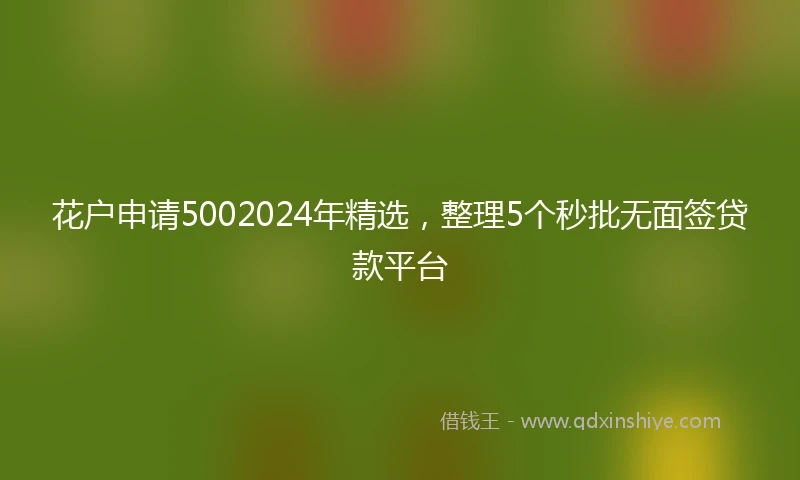 花户申请5002024年精选，整理5个秒批无面签贷款平台