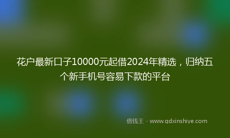 花户最新口子10000元起借2024年精选，归纳五个新手机号容易下款的平台