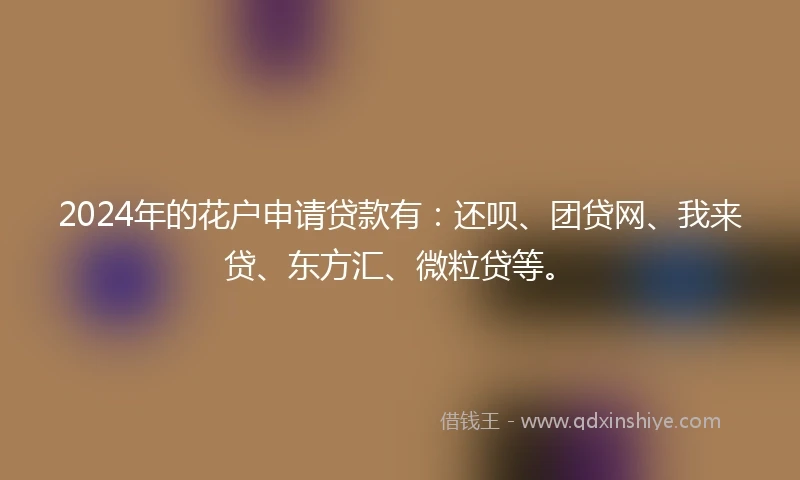 2024年的花户申请贷款有：还呗、团贷网、我来贷、东方汇、微粒贷等。